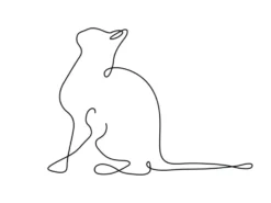Affiche illustration noir et blanc Aquarupella Chat - 30 x 40 cm