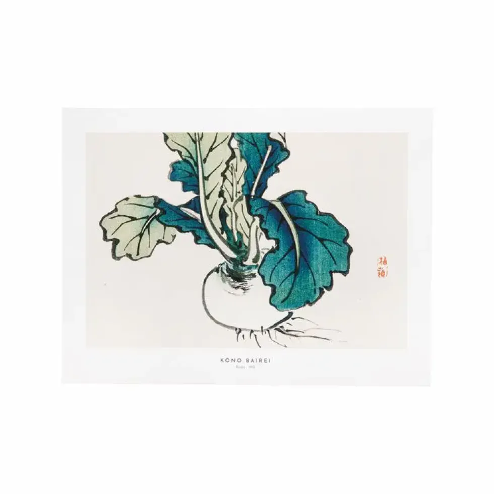 Affiche radis japonais - 30 x 40 cm
