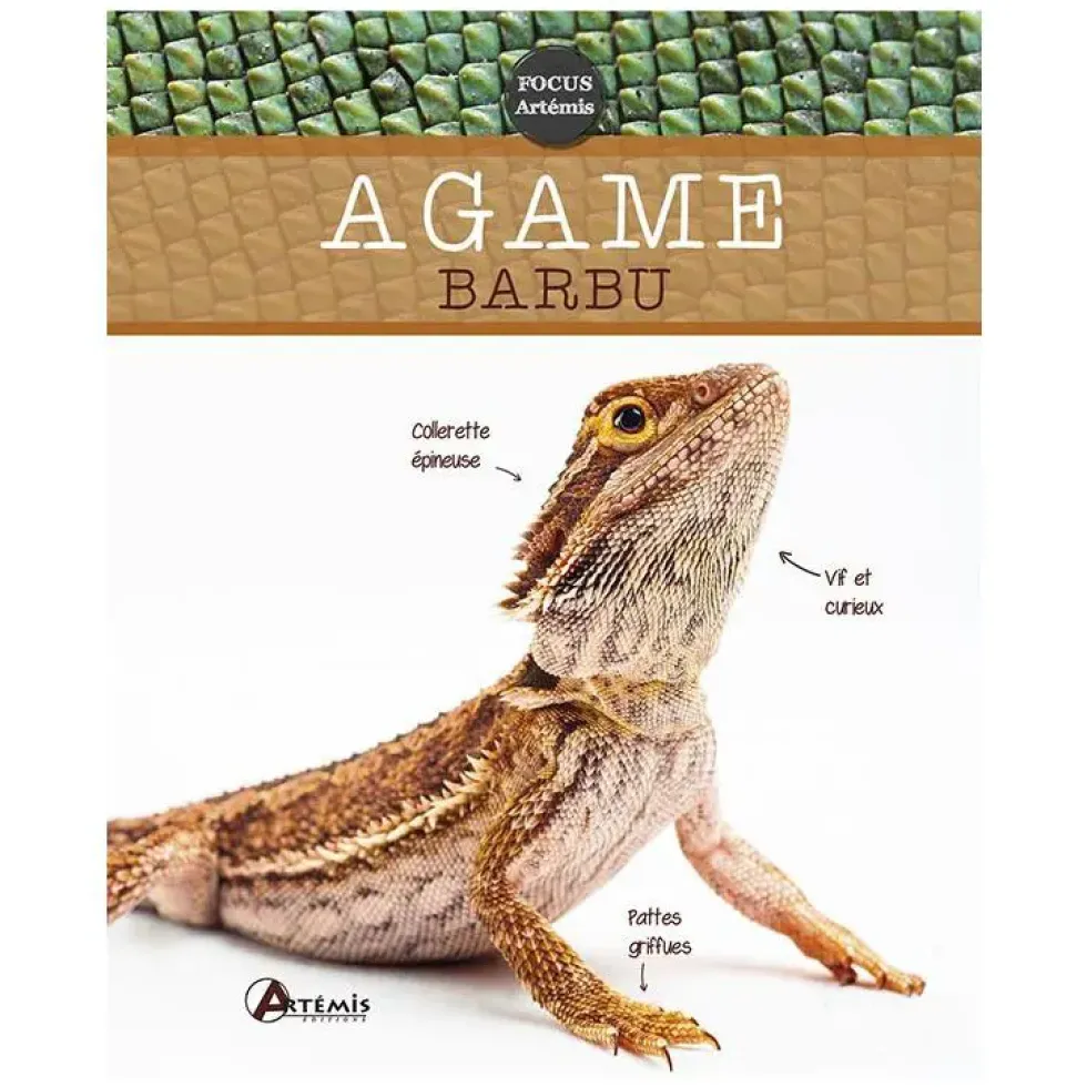 Agame Barbu. Editions Artemis