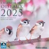 Agenda "L'agenda des oiseaux 2025" aux Éditions Rustica
