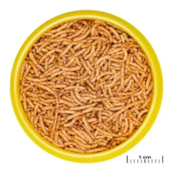 Alimentation poisson rouge insectes, JBL ProNovo Stick - 38g/100ml