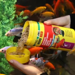 Alimentation pour poisson exotique Pro novo JBL red