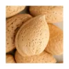 Amandier Marcona Bio. Le pot de 12 litres, forme gobelet