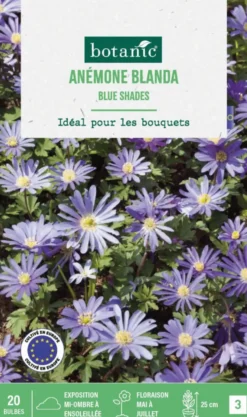 Anémone blanda blue shades en mélange botanic® - 20 bulbes