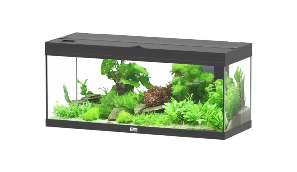 Aquarium coloris noir Aquatlantis Prestige LED 2.0 144 L - 100 x 40 x 40 cm