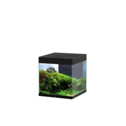 Aquarium équipé Ciano Emotions Pro 40 noir 52 L - 40 x 40 x 43 cm