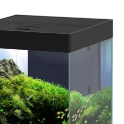 Aquarium équipé Ciano Emotions Pro 40 noir 52 L - 40 x 40 x 43 cm
