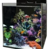 Aquarium reef 90 Blue Marine