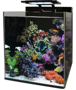 Aquarium reef 90 Blue Marine