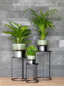 Areca. Le pot Ø 21 cm