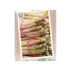 Asperge Verte Voltaire Bio. Le filet de 12 griffes