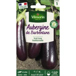 Aubergine de Barbentane Vilmorin - graines à semer
