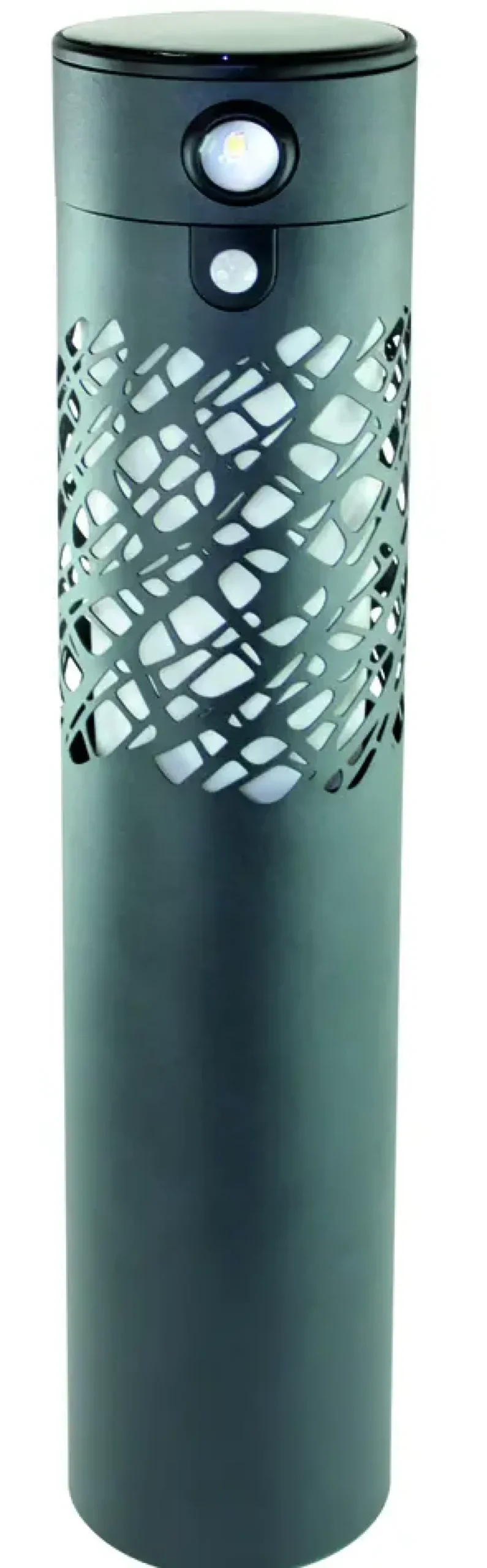 Balise spot Allegra détection 250lm coloris gris - 62 cm