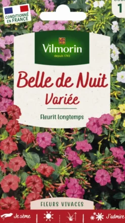 Belle-de-nuit Variée Vilmorin - graines à semer