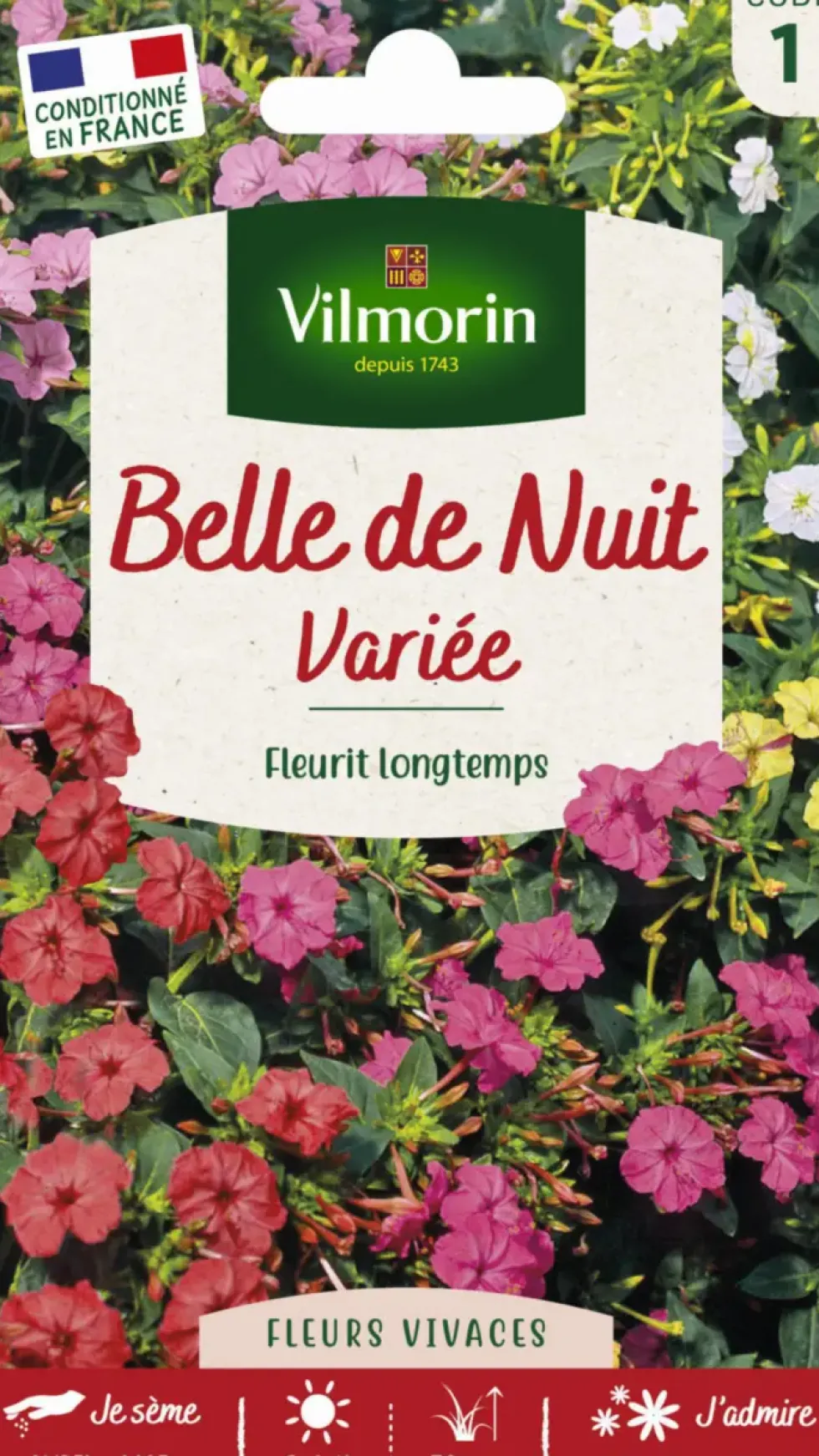 Belle-de-nuit Variée Vilmorin - graines à semer