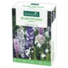 Boite de bulbes de fleurs en mélange pour massif terrain sec botanic® – 32 bulbes