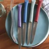 Boîte de 4 couteaux de table coloris multicolore en plastique et inox Opinel - 257 x 54 x 15 cm