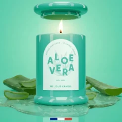 Bougie parfumée Trendy senteur aloé vera Maison Berger Paris - 150 g
