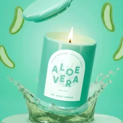 Bougie parfumée Trendy senteur aloé vera Maison Berger Paris - 150 g