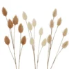Branche décorative coloris beige - 72 x 12 x 2 cm