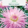 Bulbe de fleurs Dalhia dentelle Eurydice botanic® - 1 bulbe