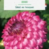 Bulbe de fleurs Dalhia pompon Ashado botanic® - 1 bulbe