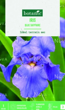 Bulbe de fleurs Iris Germanica Blue Sapphire botanic® - 1 bulbe