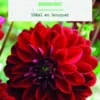 Bulbes de fleurs Dahlia décoratif Arabian night botanic® - 2 bulbes