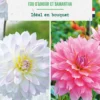 Bulbes de fleurs duo de Dahlias décoratifs Fou d’amour / Samantha botanic® - 2 bulbes
