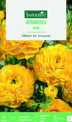 Bulbes de fleurs Renoncule asiatique jaune botanic® – 12 bulbes