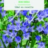 Bulbes de fleurs Triteleia Reine Fabiola botanic® – 25 bulbes