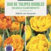 Bulbes de fleurs Tulipe double duo yellow orange jaune orange botanic® - 7 bulbes