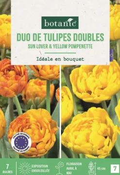 Bulbes de fleurs Tulipe double duo yellow orange jaune orange botanic® - 7 bulbes