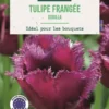 Bulbes de fleurs Tulipe frangée Gorilla pourpre botanic® - 7 bulbes