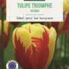 Bulbes de fleurs Tulipe triomphe Helmar jaune pourpre botanic® - 7 bulbes