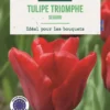 Bulbes de fleurs Tulipe triomphe Seadov rouge botanic® - 7 bulbes
