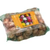 Bulbes de fleurs Tulipe triomphe mix botanic® - 35 bulbes