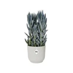 Cache-pot blanc soie Elho Vibes fold - Ø 25 cm