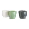Cache-pot Carnivore en céramique coloris vert - Ø 9 cm