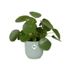 Cache-pot en plastique recyclé vert sorbet Elho Vibes fold rond mini - Ø 9 cm