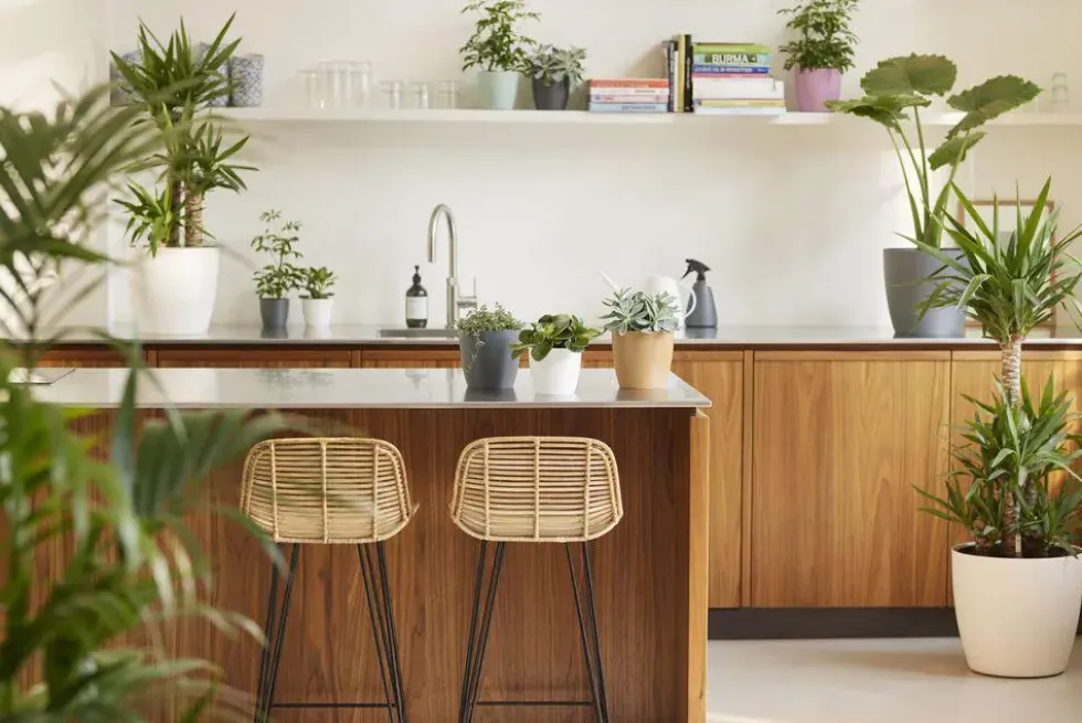 Cache-pot en polypropylène Elho Brussels rond mini anthracite - Ø 12,5 cm