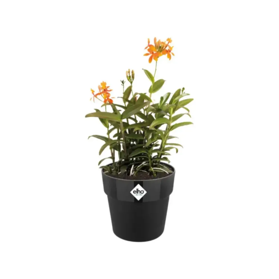 Cache-pot living noir Elho B.for Original - Ø 14 cm