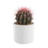 Cactus mix en pot blanc émaillé, Ø 20cm