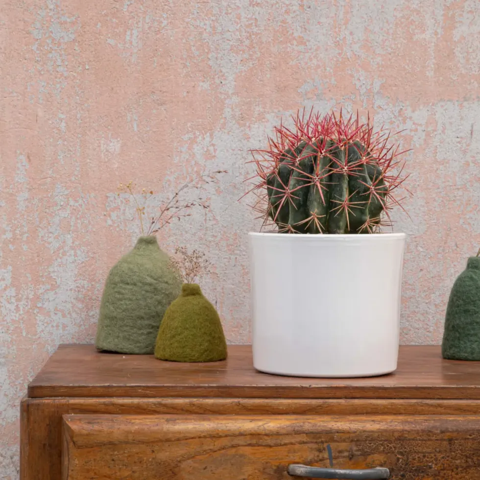 Cactus mix en pot blanc émaillé, Ø 20cm