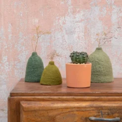 Cactus mix en pot terre cuite, Ø 10 cm
