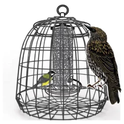 Cage de protection anti-étourneaux noire en métal Ø 27,5 x 25 cm