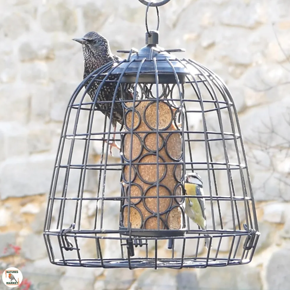 Cage de protection anti-étourneaux noire en métal Ø 27,5 x 25 cm