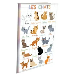 Cahier doré aux Éditions Cartesdart