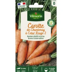 Carotte de Chantenay à cœur rouge 2 Vilmorin - graines à semer
