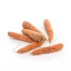 Carotte sable bio - Prix au kg